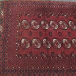 571 5543 ORIENTAL CARPET